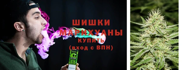 прущие грибы Верхний Тагил