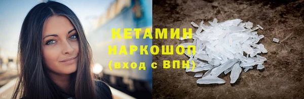 прущие грибы Верхний Тагил