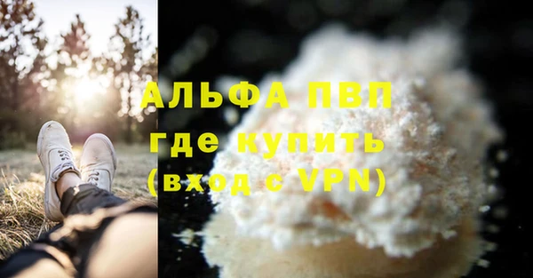 прущие грибы Верхний Тагил
