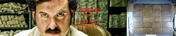 прущие грибы Верхний Тагил