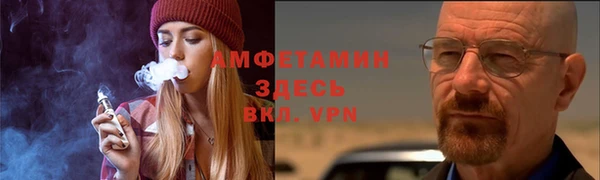 прущие грибы Верхний Тагил