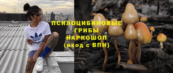 прущие грибы Верхний Тагил
