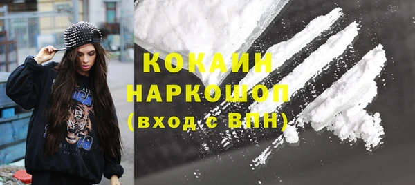 прущие грибы Верхний Тагил