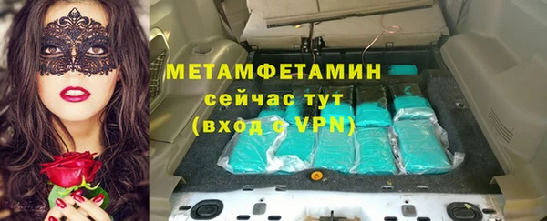 прущие грибы Верхний Тагил