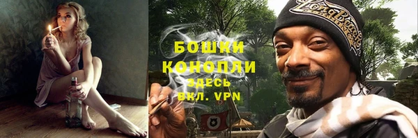 прущие грибы Верхний Тагил