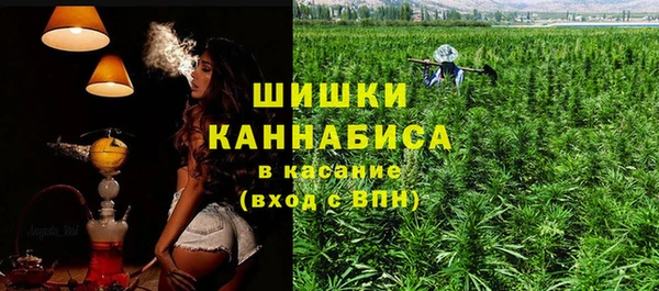 прущие грибы Верхний Тагил