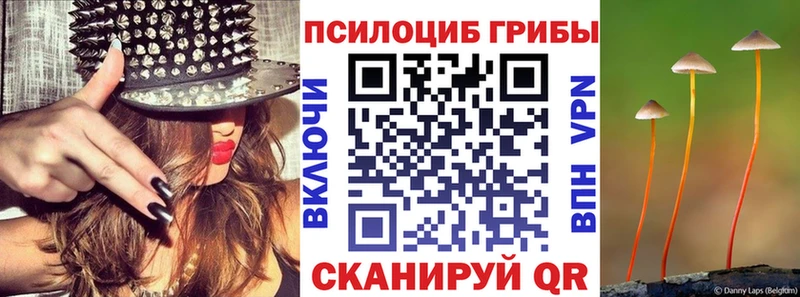 Галлюциногенные грибы Psilocybine cubensis  Новоульяновск 