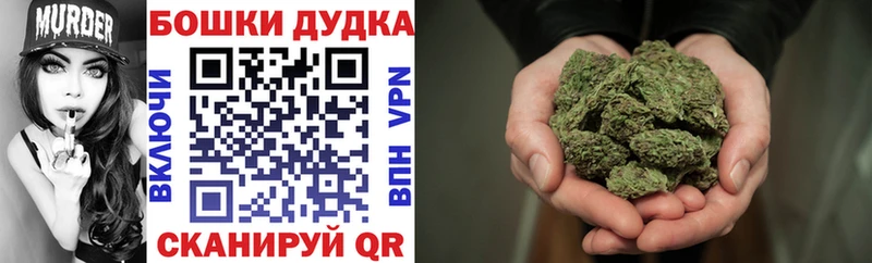 где продают   Новоульяновск  Шишки марихуана Amnesia 